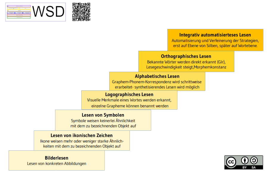 stufenmodell_des_lesens_wsd.png